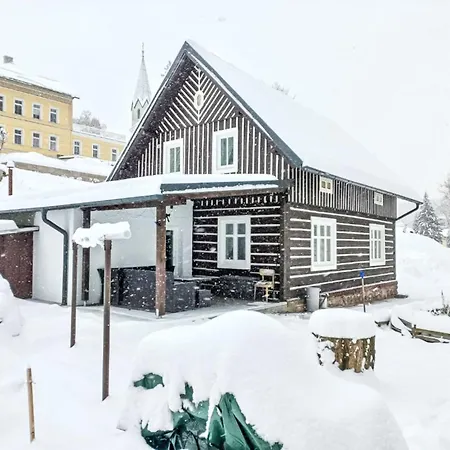 Holiday home Sara By Interhome Janske Lazne